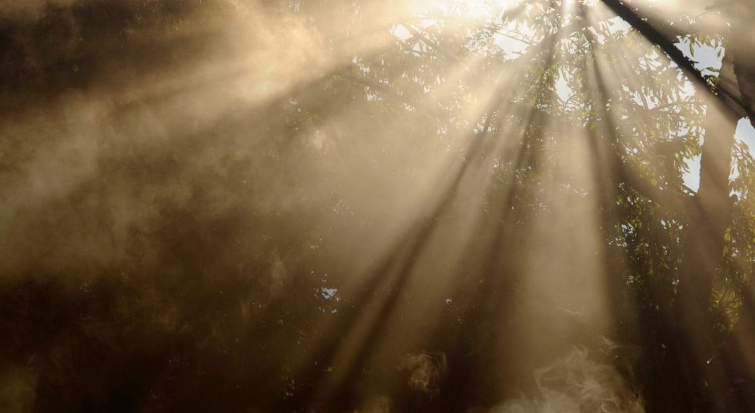 The Rapture and the Second Coming